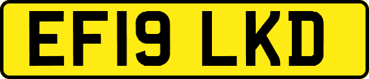 EF19LKD