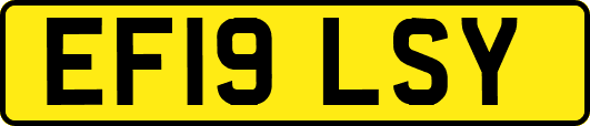 EF19LSY