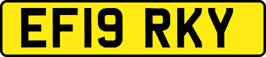 EF19RKY