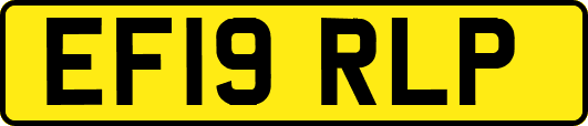 EF19RLP