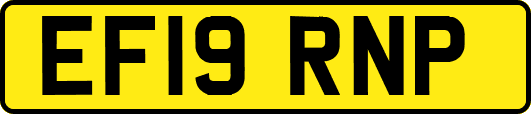 EF19RNP