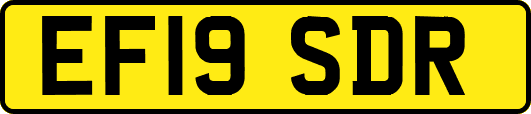 EF19SDR