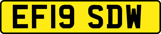 EF19SDW