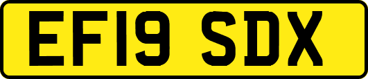 EF19SDX