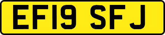 EF19SFJ