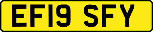 EF19SFY