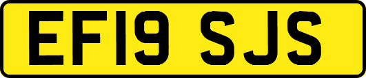 EF19SJS