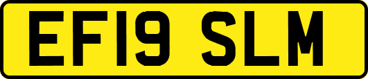 EF19SLM