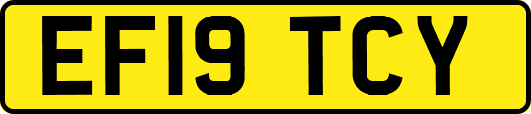 EF19TCY