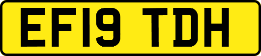 EF19TDH