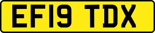 EF19TDX