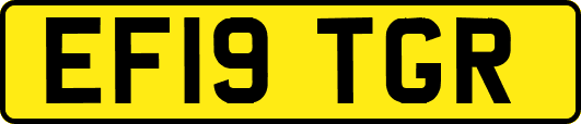 EF19TGR