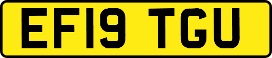 EF19TGU