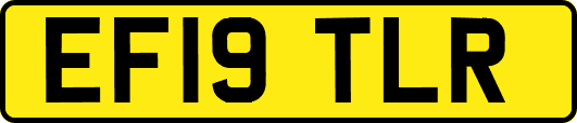 EF19TLR