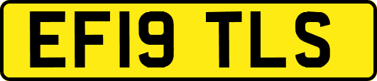 EF19TLS