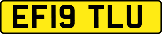 EF19TLU