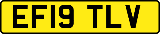 EF19TLV