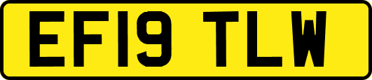 EF19TLW