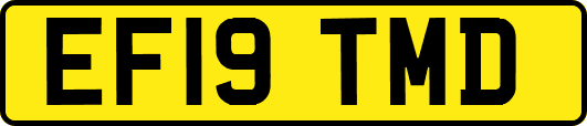 EF19TMD