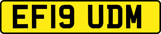 EF19UDM