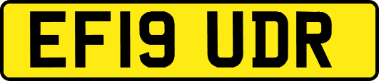 EF19UDR