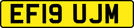 EF19UJM