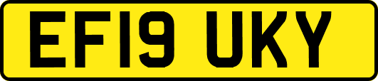 EF19UKY