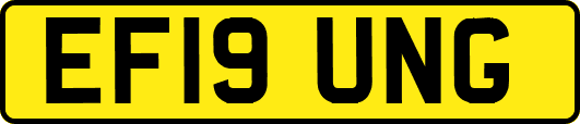 EF19UNG