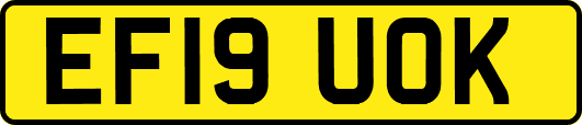 EF19UOK