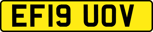 EF19UOV