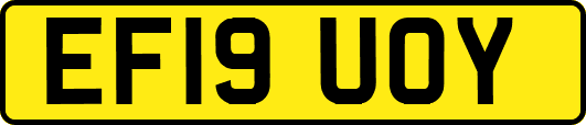 EF19UOY