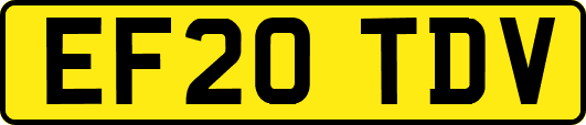 EF20TDV