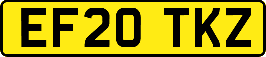EF20TKZ