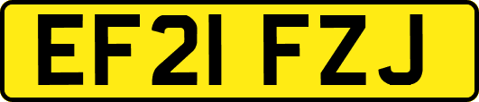 EF21FZJ