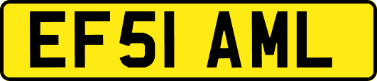 EF51AML