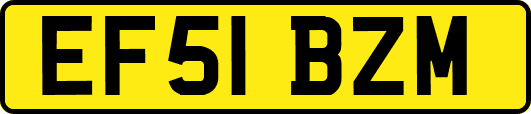 EF51BZM