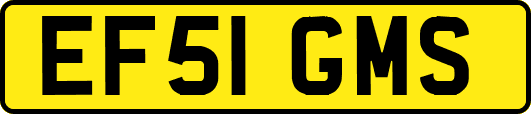 EF51GMS