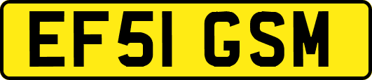 EF51GSM