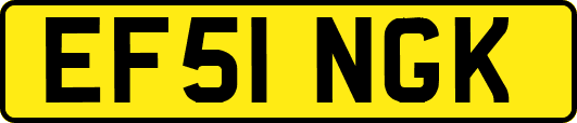 EF51NGK