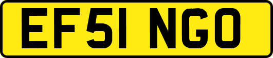 EF51NGO