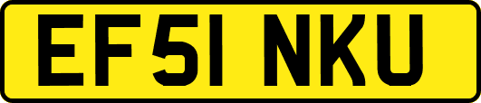 EF51NKU