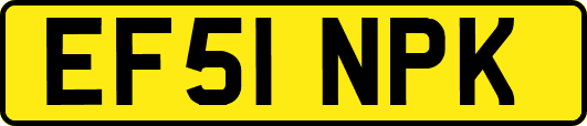 EF51NPK