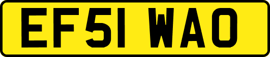EF51WAO