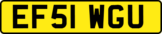 EF51WGU