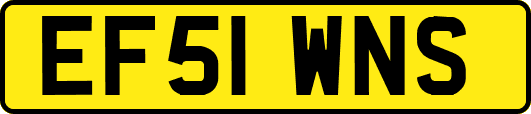 EF51WNS