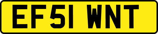 EF51WNT