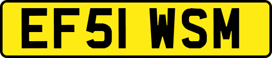 EF51WSM