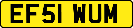 EF51WUM