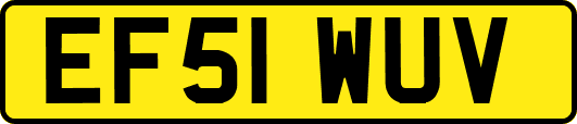 EF51WUV
