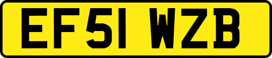 EF51WZB